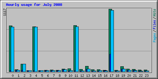 Hourly usage for July 2008